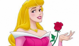 公主 动漫,梦幻王国里的青春传奇